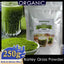 Imported Unsweetened Premium Organic Barley Grass Powder 250g Kosher, Vegan, Bulk. Good Source of Fiber, Protein