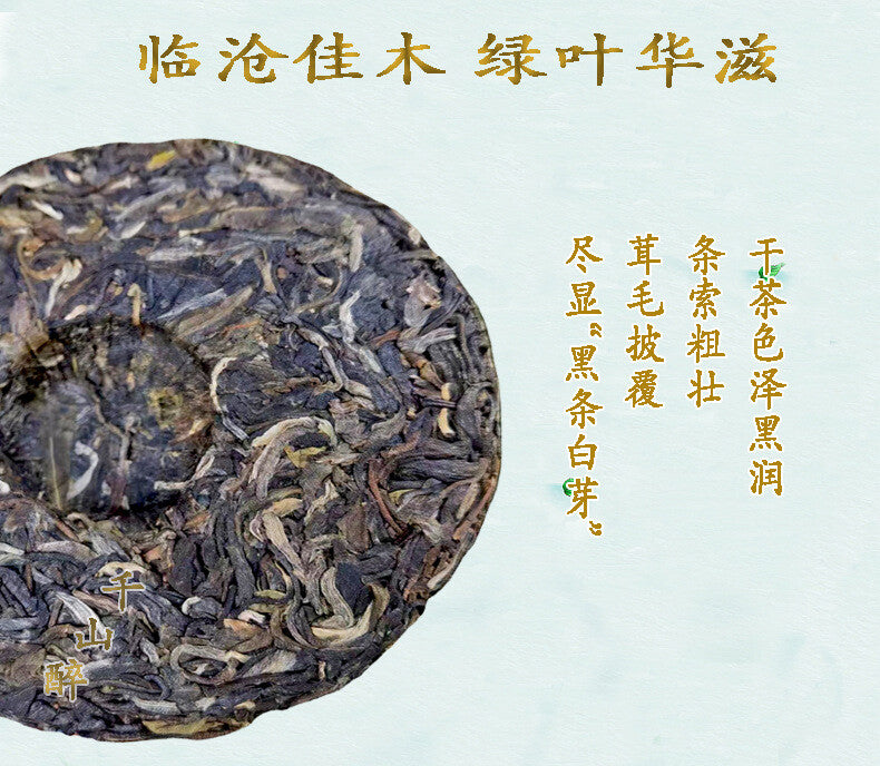 100g Yunnan Seven Tea CakesThousand Mountains Drunken Puerh Raw Tea