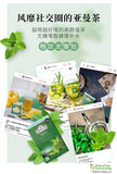Peppermint Green Tea Refreshing Tea for Work Drowsy Awake Tea Bags 20 Bags