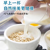 Coconut powder authentic Hainan special thick coconut milk flavor