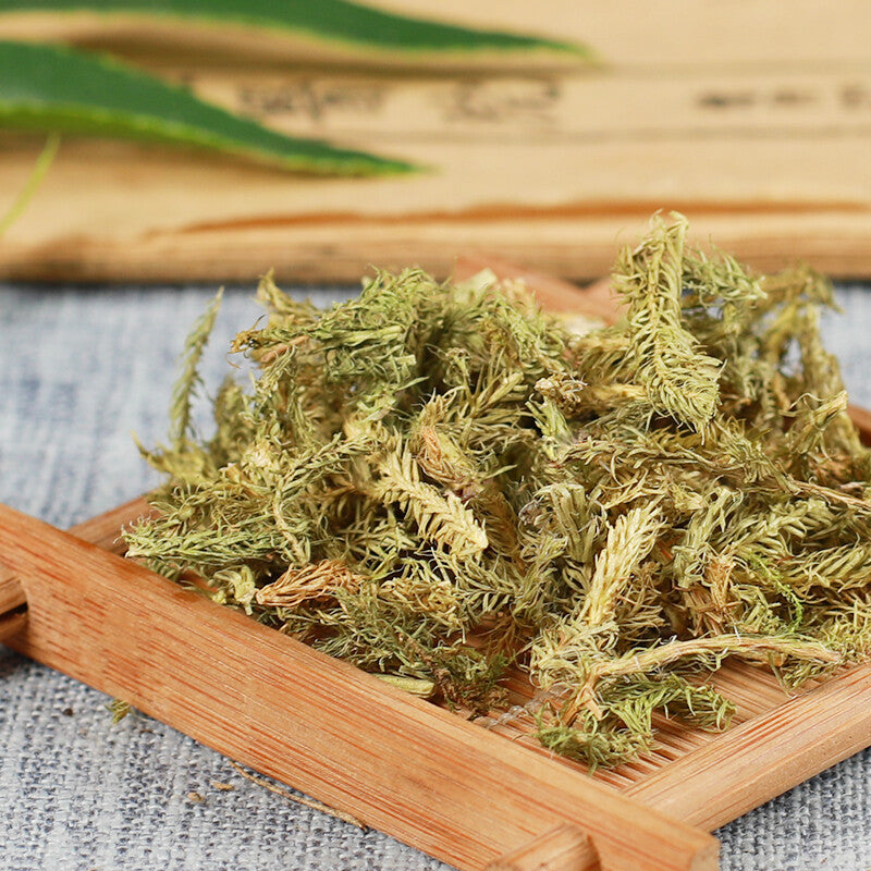 500g Shenjincao Healthy Original Herbal Tea Shujincao 精选伸筋草 舒筋草 Healthy Drink