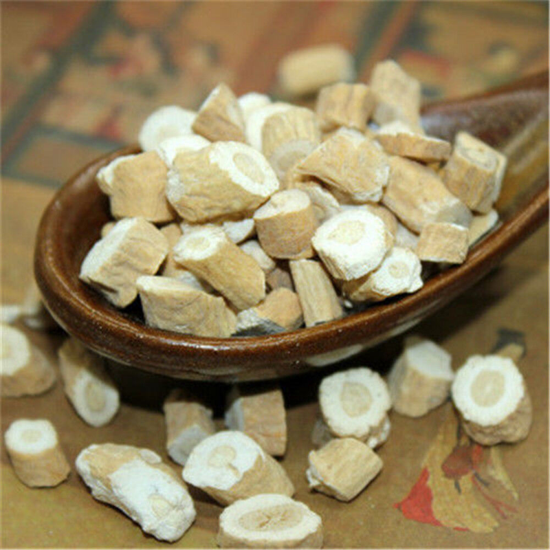 500g organic Anti-flu Ban Lan Gen Cut Isatis Root Banlangen for healthy body