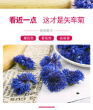 Blue Hibiscus Dried Flowers Cornflower Dried Petals Sapphire Bulk 500g