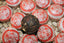 500g Yunnan Pu-erh Tea Glutinous Rice Fragrance Tuo Tea Ripe Tea 云南普洱茶 糯米香沱茶