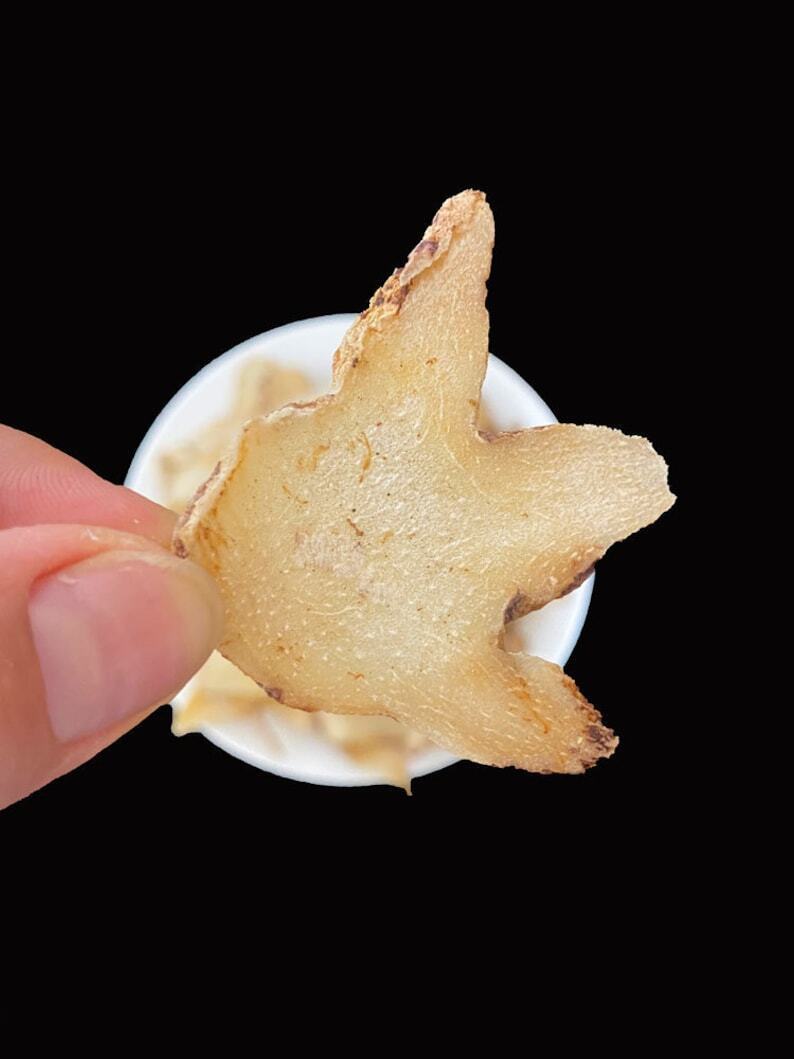 100g Organic Dried Bletilla Striata Bletilla Pseudobulb Rhizoma Bletillae Bai Ji