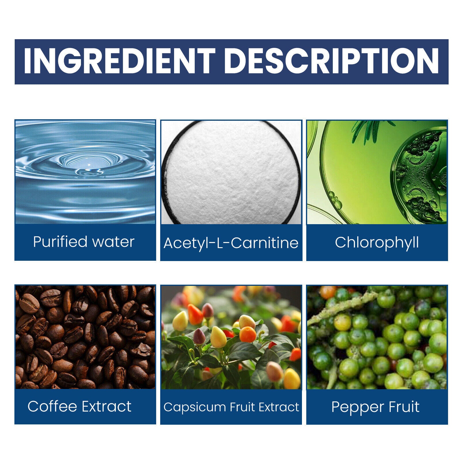Prostata-Unterstützungstropfen für Männer mit Acetyl L-Carnitin Chlorophyll