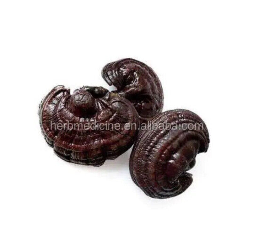 500g Dried Lingzhi Mushroom Cultivation Ganoderma Lucidum Meat Mushroom