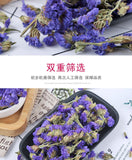 Blue Forget-Me-Not Bulk Forget-Me-Not Dried Flowers Herbal Tea 500g