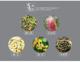 Cherry Blossom Dandelion Cornhusk Chrysanthemum Tea Herbal Tea Bags 150g/5.29oz