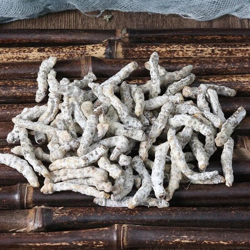 Bai Jiang Can 白僵蚕, Bombyx Batryticatus, Silkworm Larva, Bombyx Mori250g 僵蚕天虫僵虫
