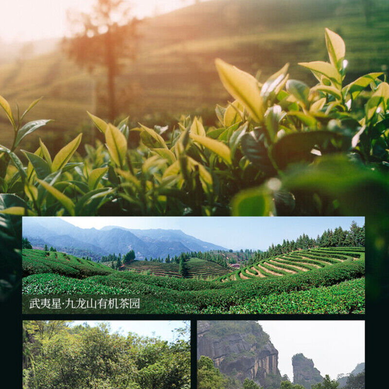 100g Lao Cong Shui Xian Oolong Tea China Fujian Rock Tea High Quality Yan Cha