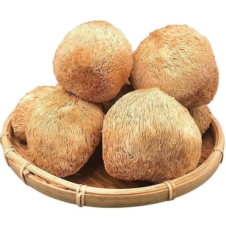 100% Biologische natürliche Löwen Mähne Pilz Hericium Erinaceus Hou Tou Gu 250G