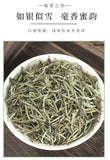 100g (3.5Oz)  White Silver Needle Canned Loose Tea Fuding White Tea