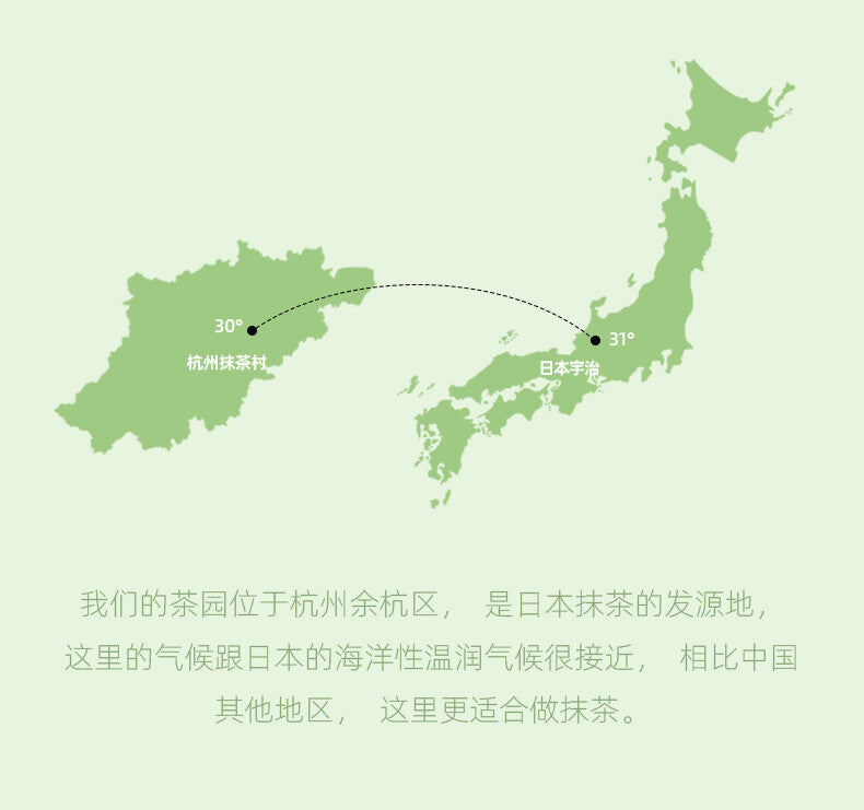 100g Vibrant Green, Great Taste for Drinking AA Grade Pure Matcha Powder