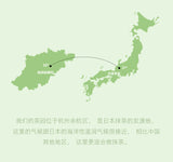 100g Vibrant Green, Great Taste for Drinking AA Grade Pure Matcha Powder