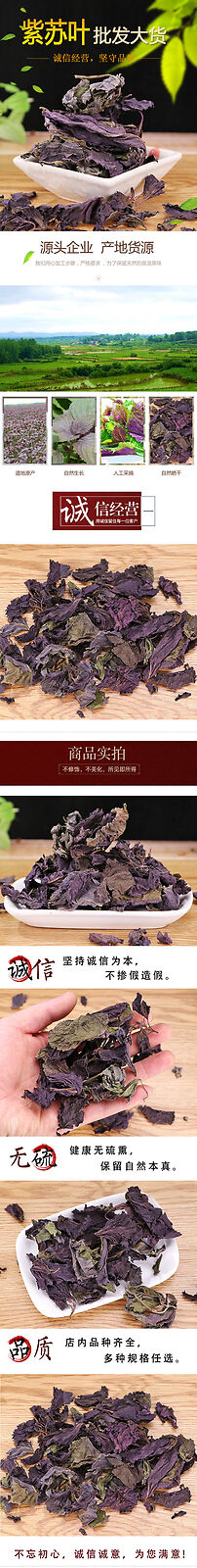 Perilla Leaf Herbal Medicine Perilla Leaf Perilla Leaf Perilla 500g/1.1lb