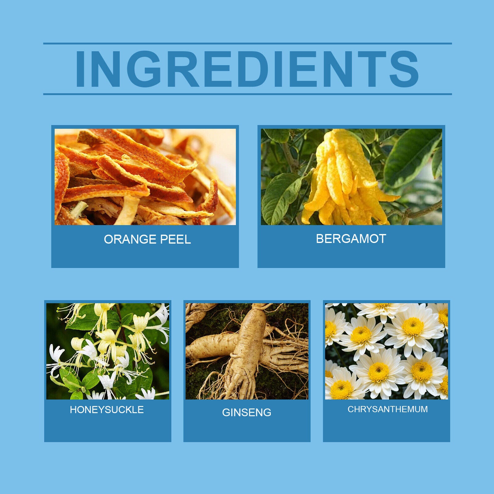 Googeer Organic Prostate Health Tea Natural Support Blend 100g