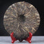 400g Pu'er Tea Daxueshan Ancient Tree Tea Bazi Tea Handmade Tea Pu'er Raw Tea