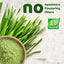 Organic Barley Grass Powder High Quality EU Barley Grass Powder High Chlorophyll