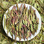 Thé Pu'er bourgeon violet début du printemps nouveau thé thé au nectar Mingqian