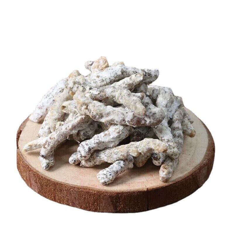 Bai Jiang Can,Bombyx Batryticatus Silkworm Larva Bombyx Mori Zhangkou Tianma