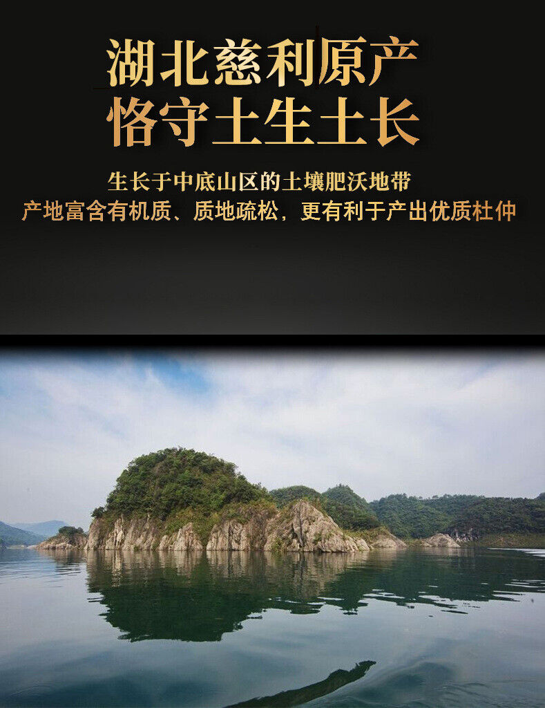 Eucommia Bark Powder Du Zhong Chinese Herbal Tea 200g 100% Pure Powder