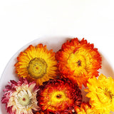 Chrysanthemums Dried Chrysanthemums Bulk Herbal Tea 500g