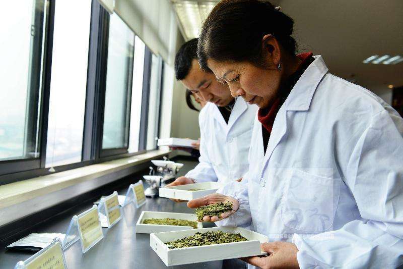 100g raw puer tea cake Pu'er tea health care yunnan chinese Good sheng puerh Tea