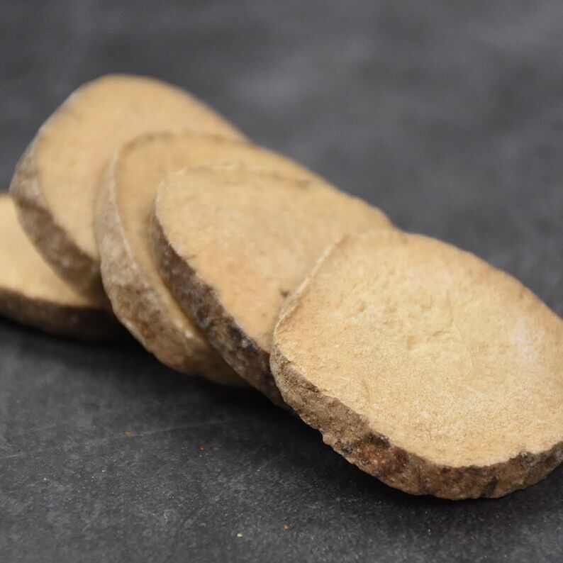 250 GR Ze Xie Water Plantain Rhizoma Alismatis Orientalis Dried Herbs 泽泻