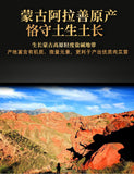 High Quality Cistanche Powder 250g Natural Cistanche Deserticola Herbal Tea