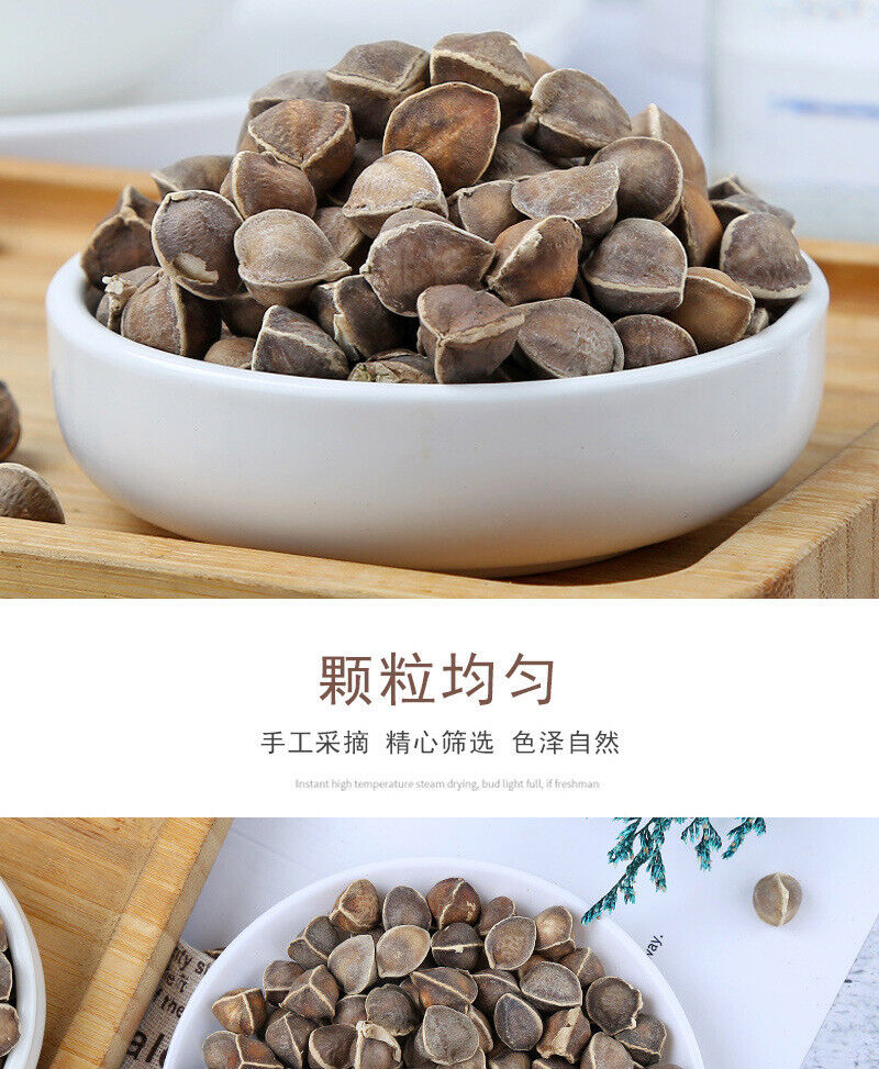 Bulk Moringa Seeds Large Moringa Seeds Produce Flower Tea 500g