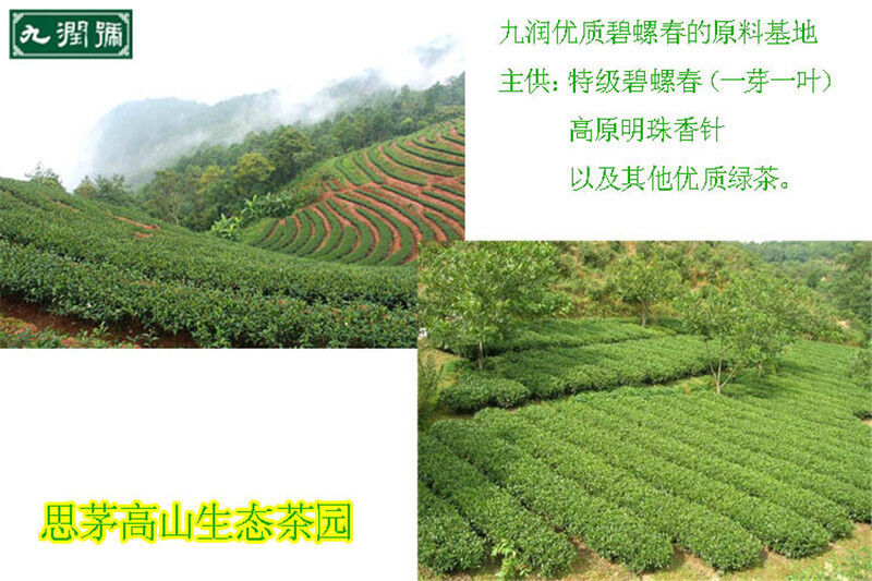 100g High Quality Green Tea Chinese Top Grade Biluochun Tea Health Tea Flowering