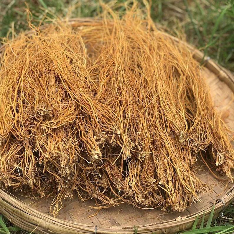 250g Driedgentian root Long Dan Cao Herb Gentiana Radix Medicinal Chinese Herbs