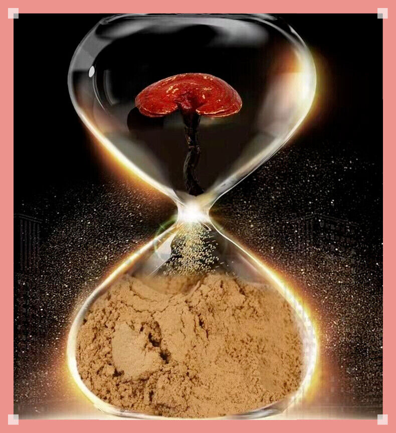 Reishi Mushroom Powder - Premium Quality Organic - QUICK POST