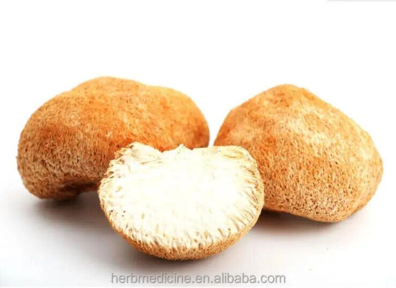 Bartzahn Affenkopf Pilz Hericium Erinaceus Bull Fr Pers 500g