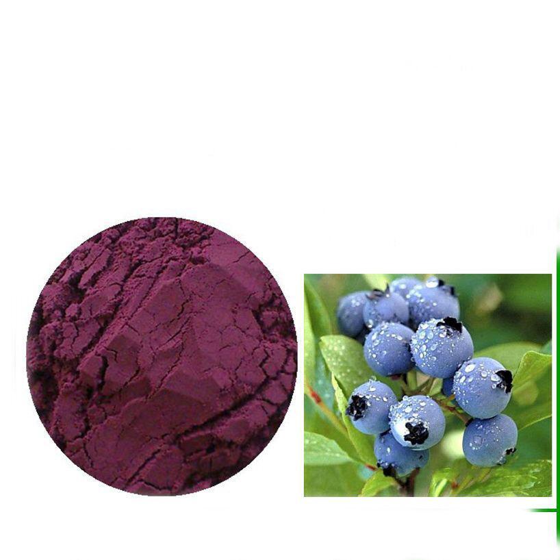 100g Strong Antioxidant, High Anthocyanin Bilberry Fruit Powder 4:1 Extract