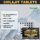 Shilajit Pure Boost Metabolismus Himalaya Extrakt Steroid90caps 200mg Organisch