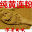 500g Pure Coptis Powder Chinese Herbal Medicine Bitter Coptis Root Powder