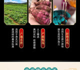 Authentic Islet Fruit Tea 120g/bottle Herbal Health Tea Yi Dao Guo