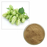 100g Pure Hops Strobile Extract Powder 10:1 Natural  Humulus Lupulus Hops
