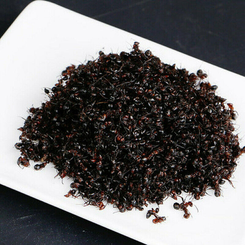 China Wild Chang Bai Shan Mountain Black Ant Vic Roger Polyrhachis Premuim 500g