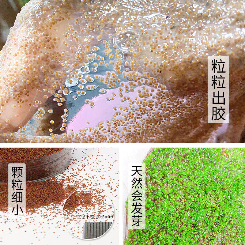 250g Seaweed Mask 5A Grade Collagen Pearl Mask Powder Particle Hydrating Mask