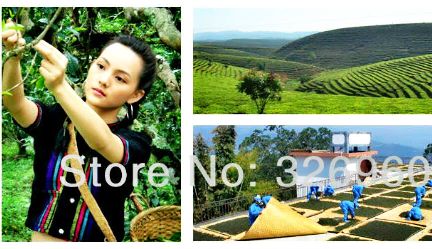 100g Reife Puer Tea Premium Yunnan Pu-erh Tee Alte Teebaum Materialien Puerh Tee