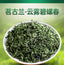 Minggulan Biluochun Green Tea Spring Tea Buds Canned 80G Fragrant and Sweet