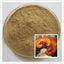 200g Organic Antrodia Camphorata Extract 10:1 Powder | Niu Zhang Zhi Herb