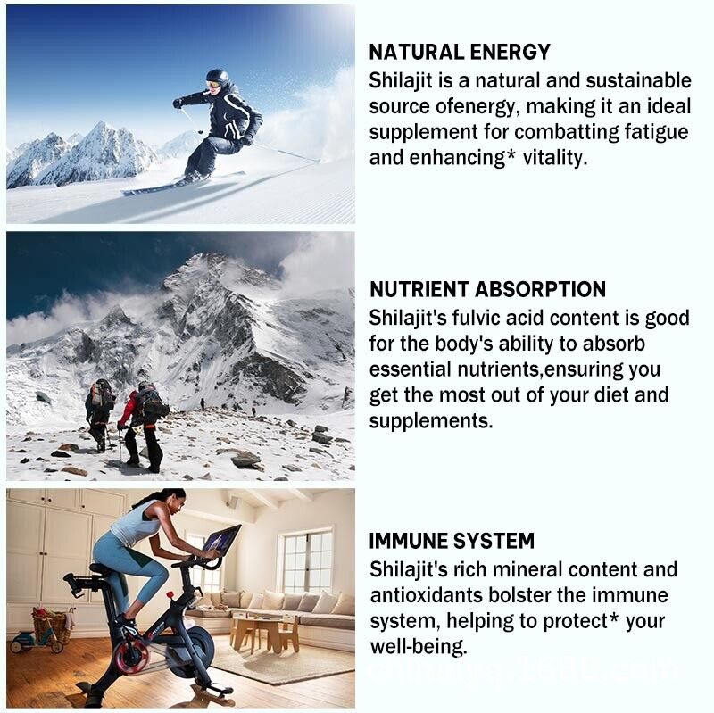 Shilajit Pure Boost Metabolismus Himalaya Extrakt Steroid90caps 200mg Organisch