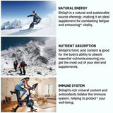 Shilajit Pure Boost Metabolismus Himalaya Extrakt Steroid90caps 200mg Organisch