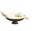 High quality hay Chinese mountain / Shan Yao / Huai Shan Genmao 250g