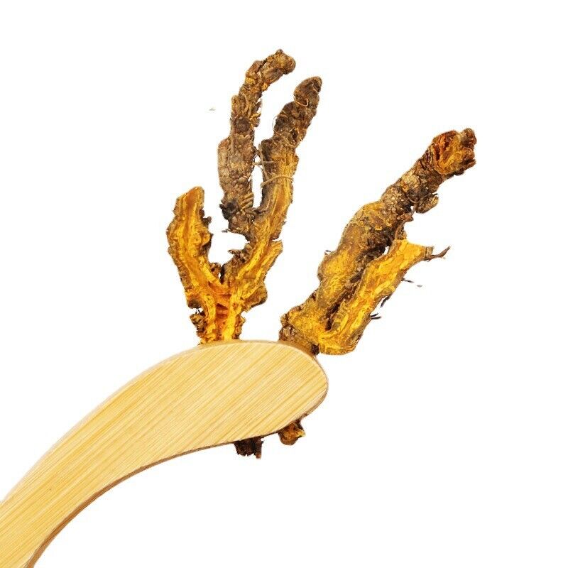 Chinese Herbal Medicine Huanglian Monocotyledon Yellow Lian Selected Slices 500g