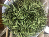 China Stevia Leaf in Bulk Dried Stevia Leaves Stevia Natural Dry Leaf Herb Tea